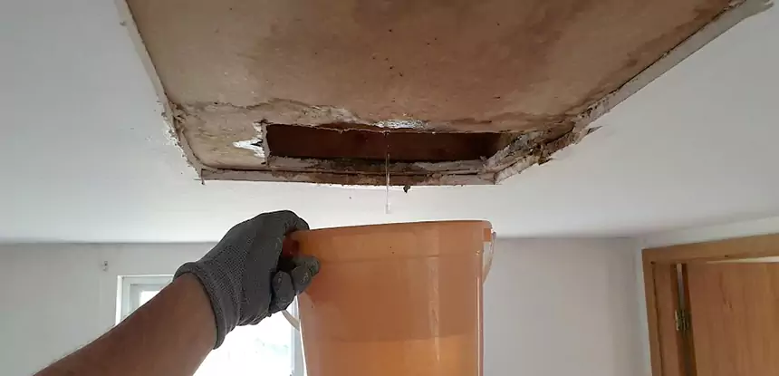 Ceiling Mold Repair Peachtree City