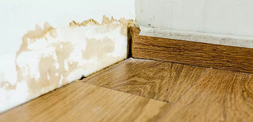 Professional Fix Water Damaged Wood Services in Peachtree City, GA